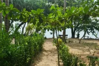 Alam Kita - Beach