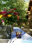 Rare private cabin retreat surrounded by 1700 acres of woods, yet close to town.
