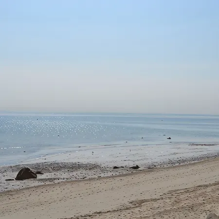 Plymouth Home, Pond and Private Beach Access