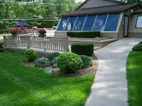 Tall Pines Motel - Mountain view