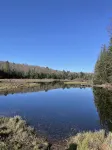 Charming ADK Retreat Walking Distance to Town and River