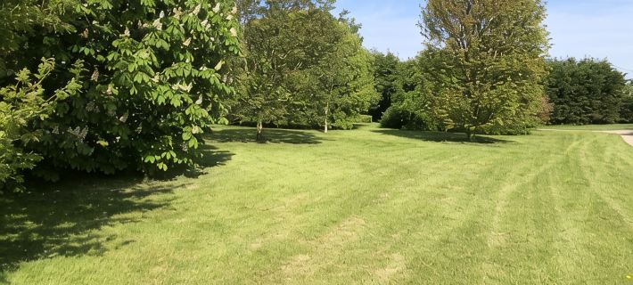 Dove Cottage, Homeleigh Farm ウェイドブリッジのホテル