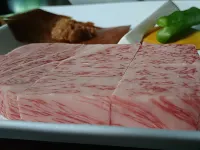 Yuyado Osanpo-Biyori Hotel di 