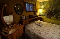 Charming Rustic Mountain Cabin, Near Yosemite,Amazing Views, and a Fireplace