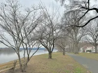 Cozy waterfront 2BR/3 Beds w./ Modern meets Historical Charm/Chic