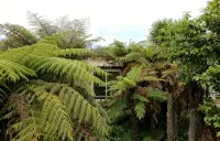 The Gully Hideaway apartment