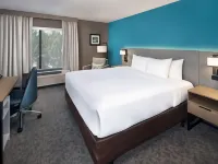 Comfort Inn & Suites Dahlonega University Area Hotels in Lumpkin County