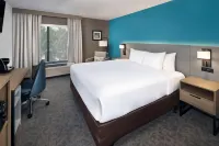 Comfort Inn & Suites Dahlonega University Area