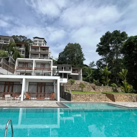 Alta Vista