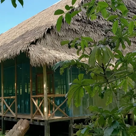Amazon Tropical Expeditions