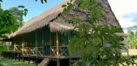Amazon Tropical Expeditions
