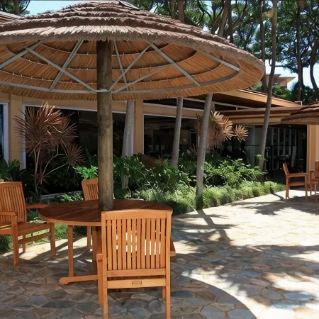 Oceanfront and Turtle Watching from 11 Floor Luxury Condo Ka'Anapali Beach!