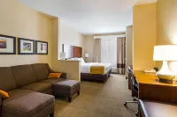 Comfort Suites - Pet friendly