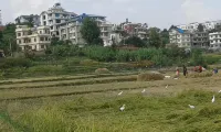Sanu House