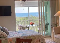 Breathtaking Direct View of Gulf of Mexico and Sunset from the Room - 3-stjärniga