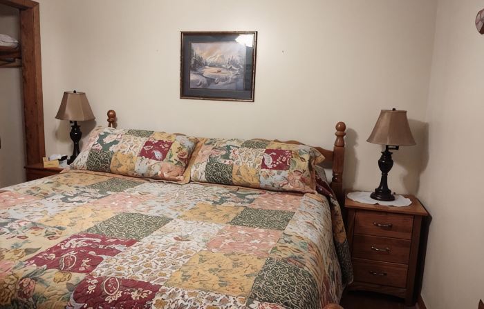 3-Bedroom 3-Bath Cabin 6 Minute Drive to Harrah's Casino - 1 GIG Internet