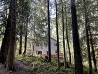 Forest Haven • King Suite • Near Trails & Lakes - Chalets
