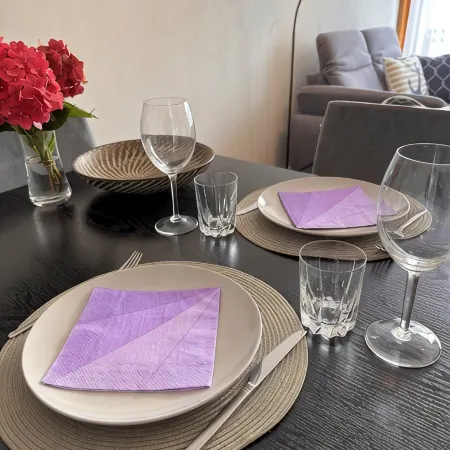 Modern and central, beautiful apartment for 2+ in Büsum