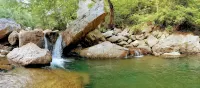 Tiny House~Creeks & River Nearby - Alphydda