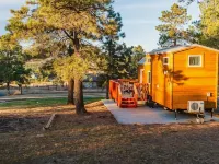 Cozy brand new tiny home! Amazing experience - 3-Star