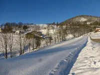Apartment with Terrace in Chalet - Chalets
