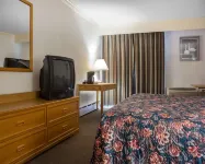 Econo Lodge by the Falls - bar