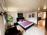 Newly Furnished Beautiful Old Building Apartment in the Center with Apple TV Hotels in Gaiserwald