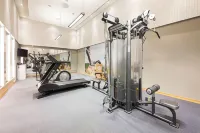 斯堪迪克尼德倫飯店 - 健身房