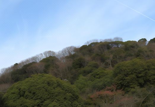 Oogiya 료칸 객실