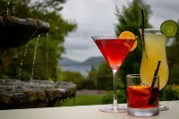 Merewood Country House Hotel - Quầy bar