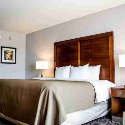Comfort Inn & Suites Lovington Rooms