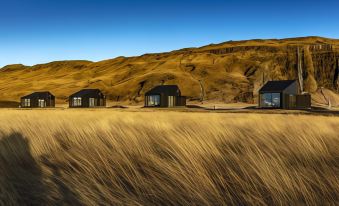 Seljalandsfoss Horizons