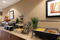 Microtel Inn & Suites by Wyndham Pleasanton - 2-stjärniga