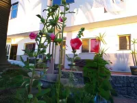 Pensión Amparo Las Hayas Hotels in Vallehermosa
