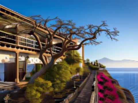 戈梅拉酒店 戈梅拉島聖塞瓦斯蒂安酒店