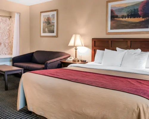 Comfort Inn Hotels in Livonia
