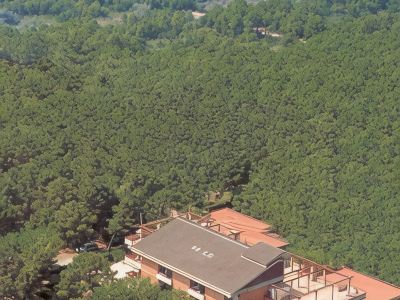 Hotel Grifone