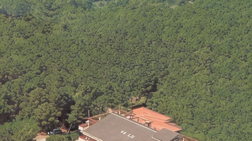Hotel Grifone