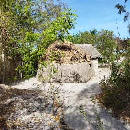 Mida Creek Eco Camp - Lodge