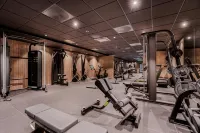 Pellestova Hotell Hafjell - ジム