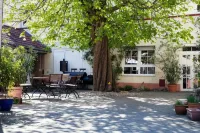 Hotel Herberge Zur Traube Hotels in Bad Wimpfen