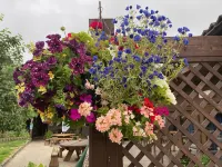 Cross Keys Inn Hotels in Mendip District