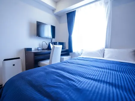 HOTEL LiVEMAX Tokyo Shiomi Ekimae Отели рядом с достопримечательностью «Daigofukuryumaru Museum»