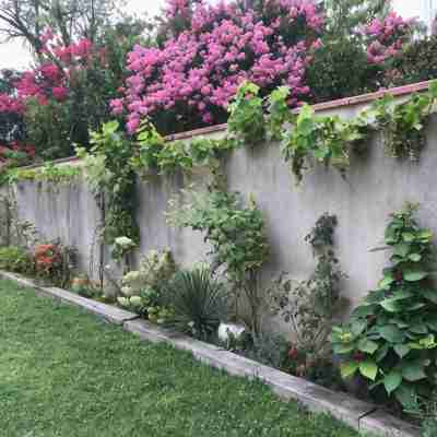 La Croix Blanche Hotel Exterior