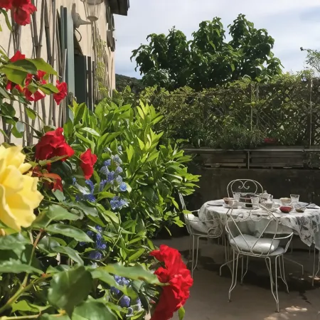 Les Asphodèles Amélie