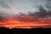 Best Western Wellington