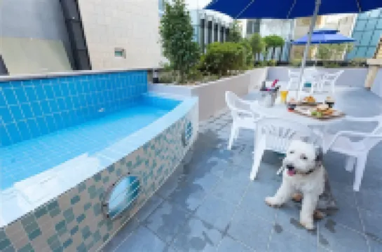 Sleep with Your Own Pet Only - the Petel