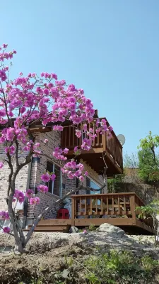 충주 져스틴하우스펜션 앙성탄산온천 주변 호텔