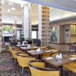 Hilton Garden Inn Hobbs Hotels in Hobbs