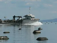 Tidewater Motel & Tourist Park Hotels in Coromandel
